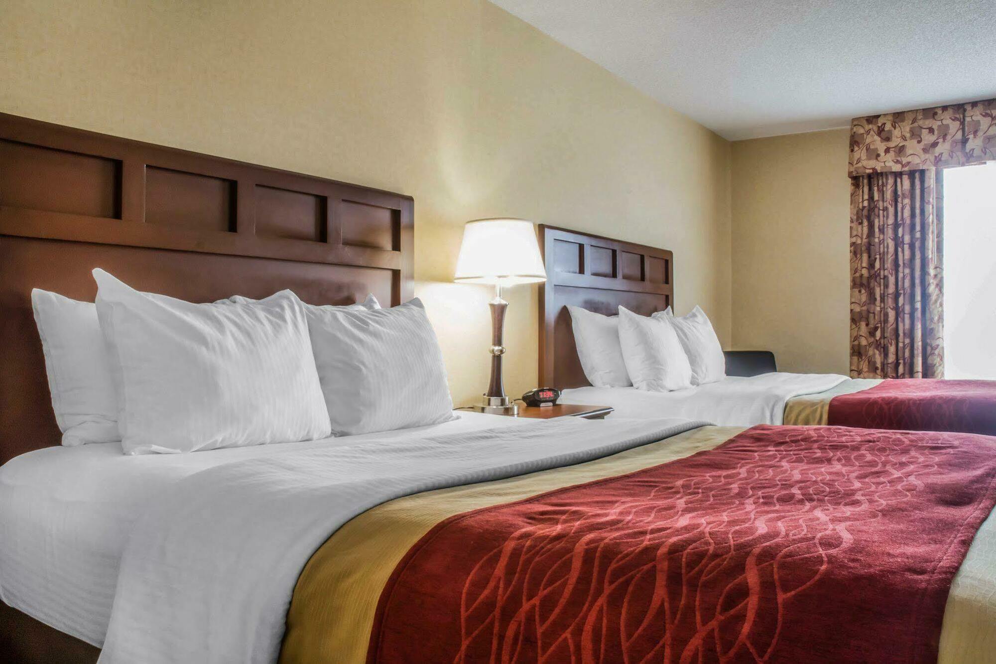 Comfort Inn & Suites Farmington - Victor מראה חיצוני תמונה